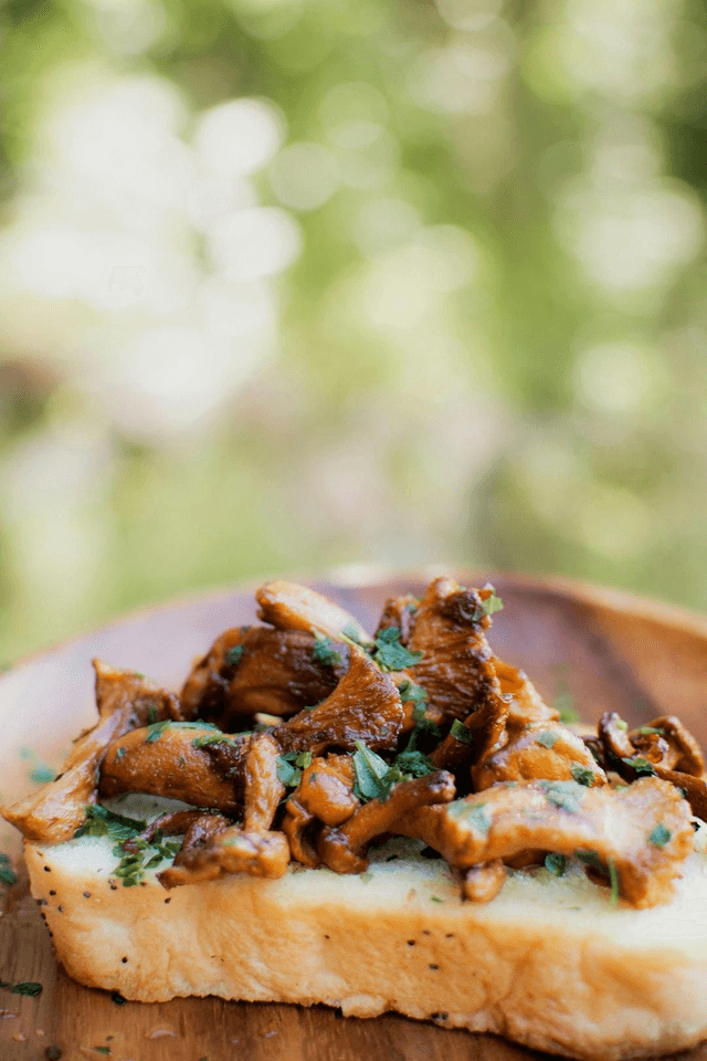 Mushrooms on Toast