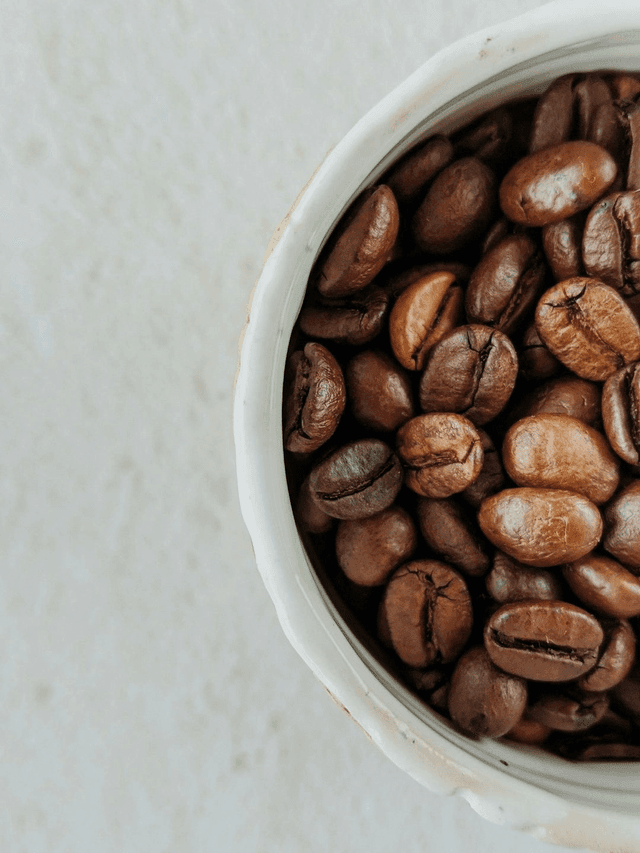 Moonroast Retail Bags